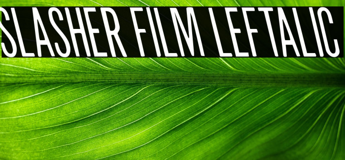 Slasher Film Leftalic Example 1