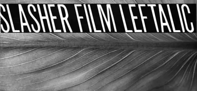 Slasher Film Leftalic Font | Free Download (TTF/OTF) | FFont