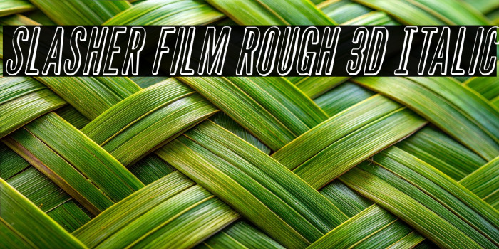 Slasher Film Rough 3D Italic Example 3