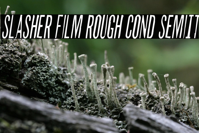 Slasher Film Rough Cond SemiIt Example 2