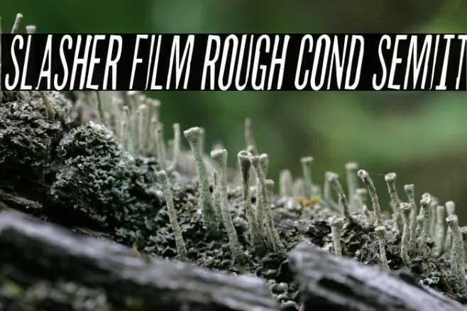 Slasher Film Rough Cond SemiIt Example 2
