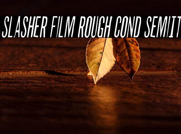 Slasher Film Rough Cond SemiIt Example 3