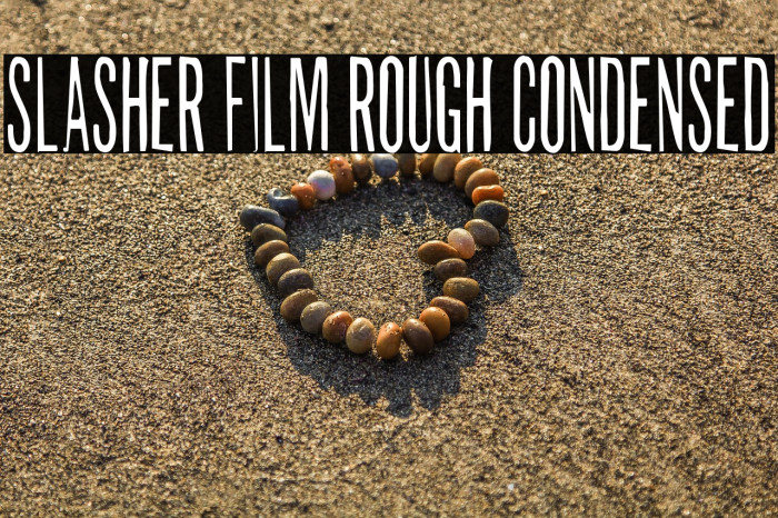 Slasher Film Rough Condensed Example 1