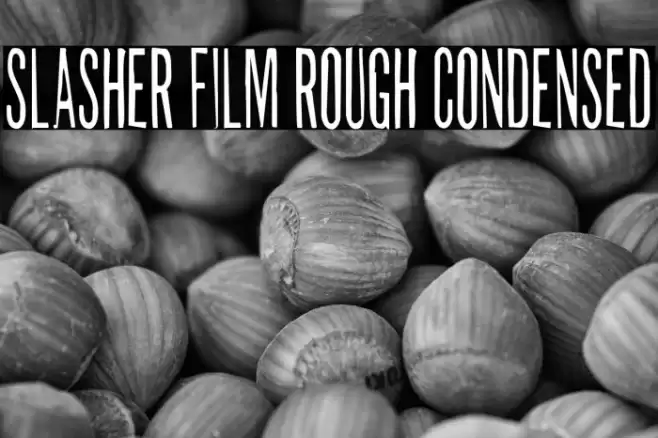 Slasher Film Rough Condensed Font examples