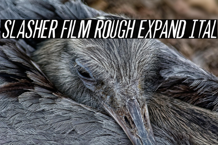 Slasher Film Rough Expand Ital Example 2