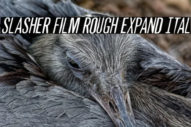 Slasher Film Rough Expand Ital Example 2