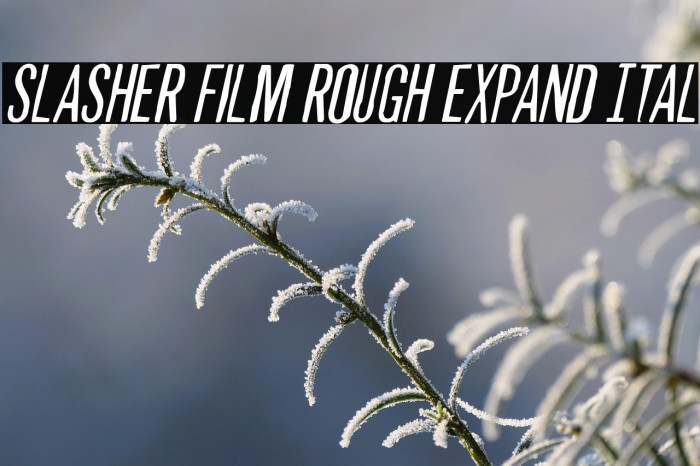 Slasher Film Rough Expand Ital Example 3