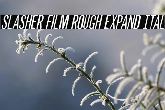 Slasher Film Rough Expand Ital Example 3
