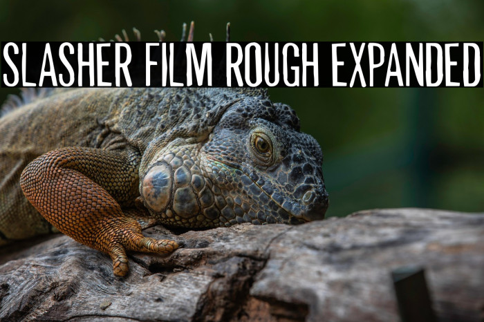 Slasher Film Rough Expanded Example 3