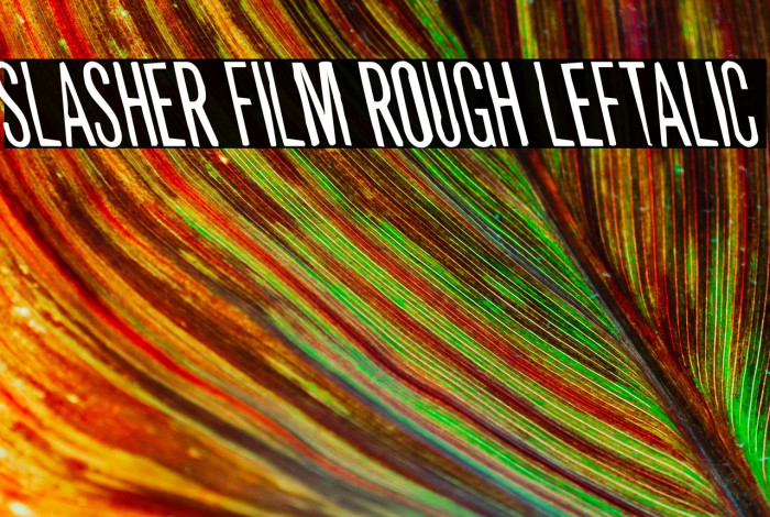 Slasher Film Rough Leftalic Example 3