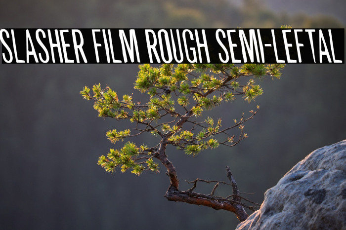 Slasher Film Rough Semi-Leftal Example 3