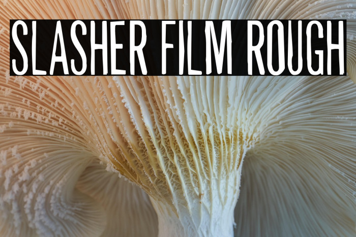 Slasher Film Rough Example 3