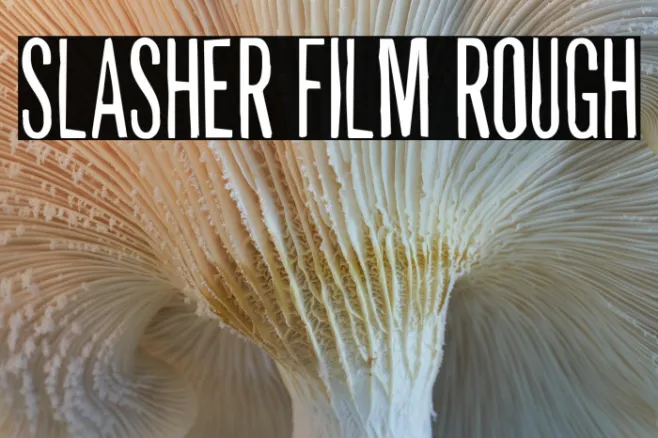 Slasher Film Rough Example 3