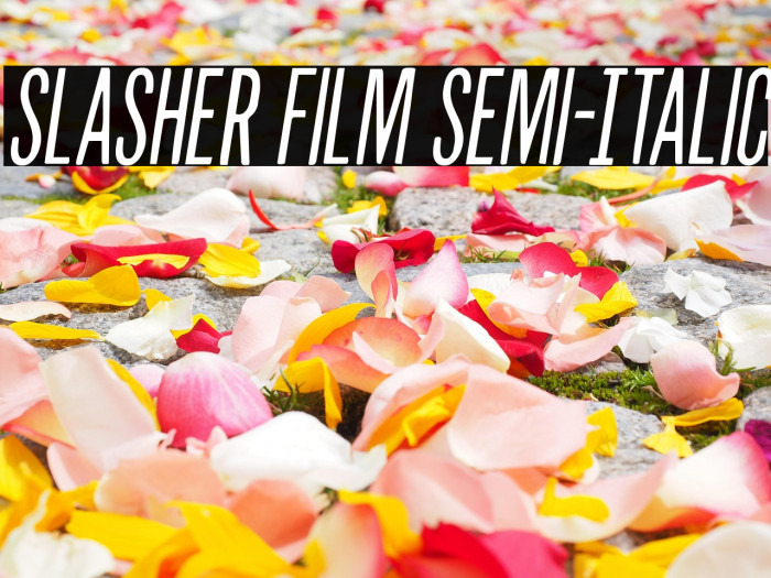 Slasher Film Semi-Italic Example 1