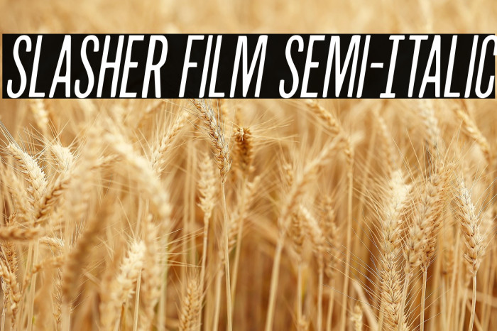 Slasher Film Semi-Italic Example 2