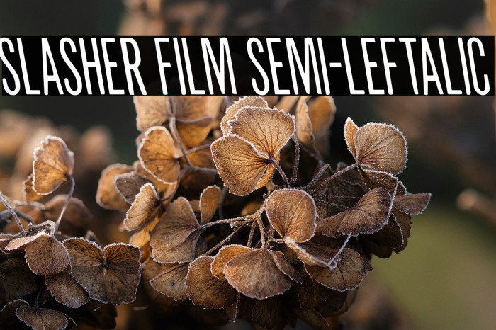 Slasher Film Semi-Leftalic Example 1