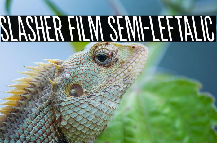 Slasher Film Semi-Leftalic Example 2