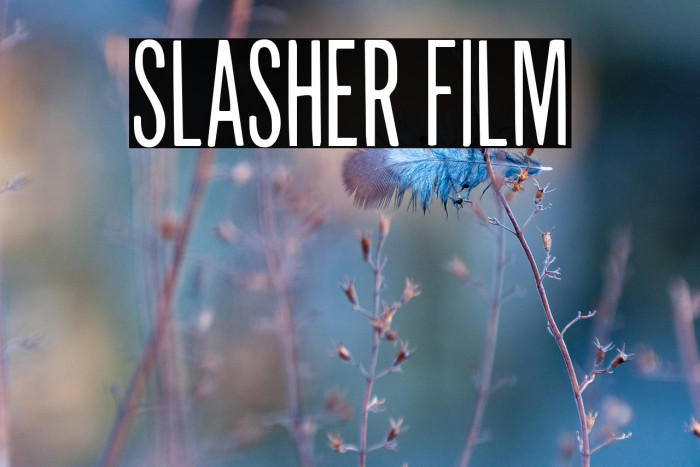 Slasher Film Example 3