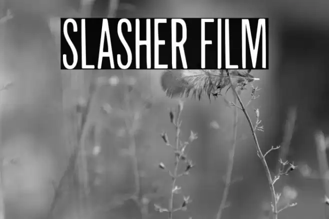 Slasher Film Font examples