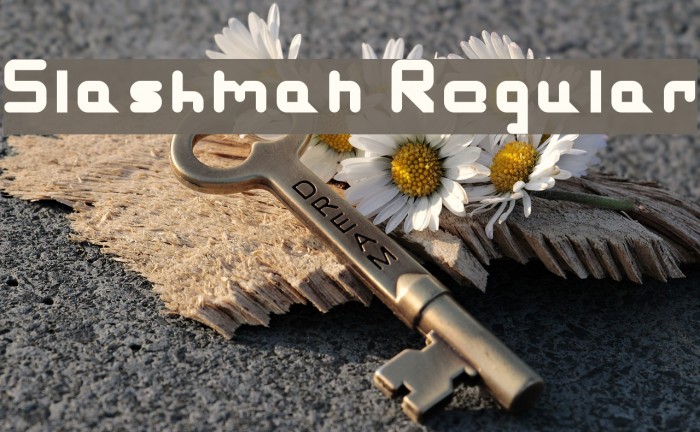 Slashman Regular Font examples