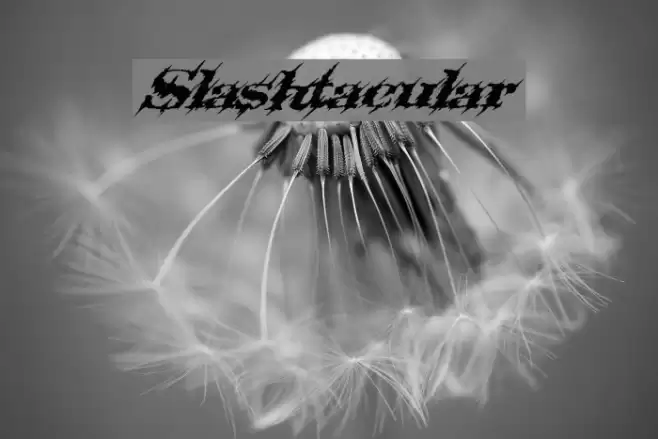 Slashtacular Font examples