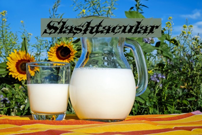 Slashtacular Font examples