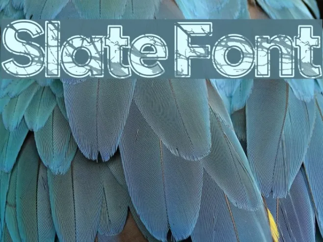 Slate Example 2