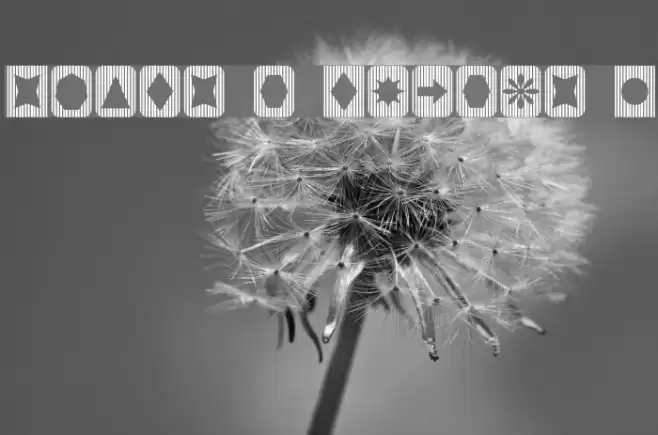 Slats n Things 2 Schriftart examples