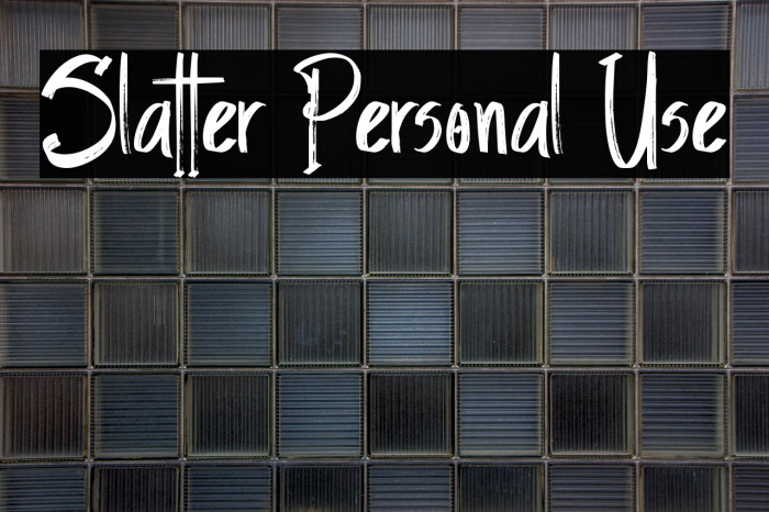 Slatter Personal Use Example 1