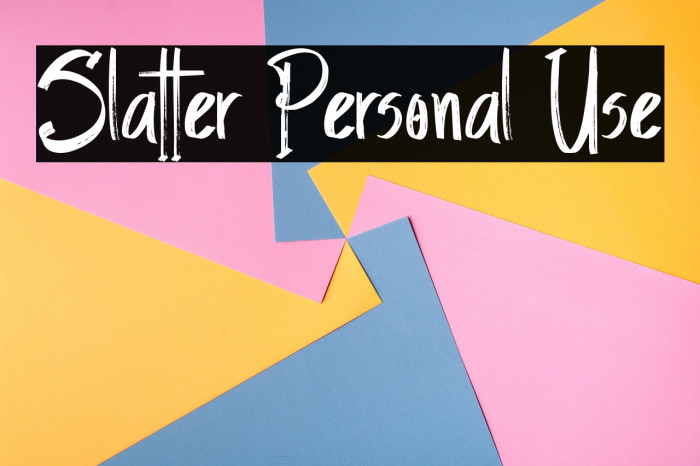 Slatter Personal Use Example 2