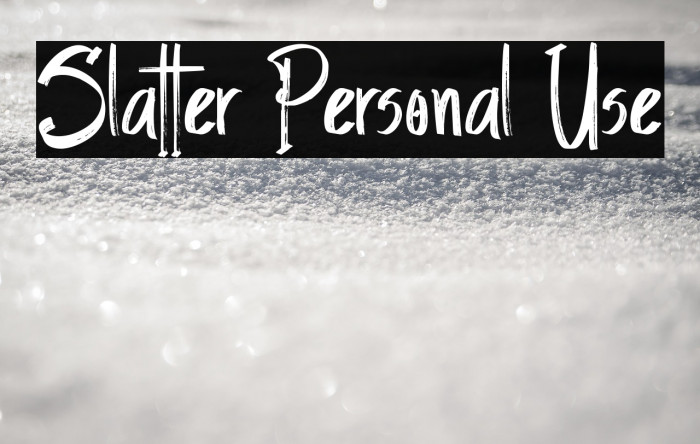 Slatter Personal Use Example 3