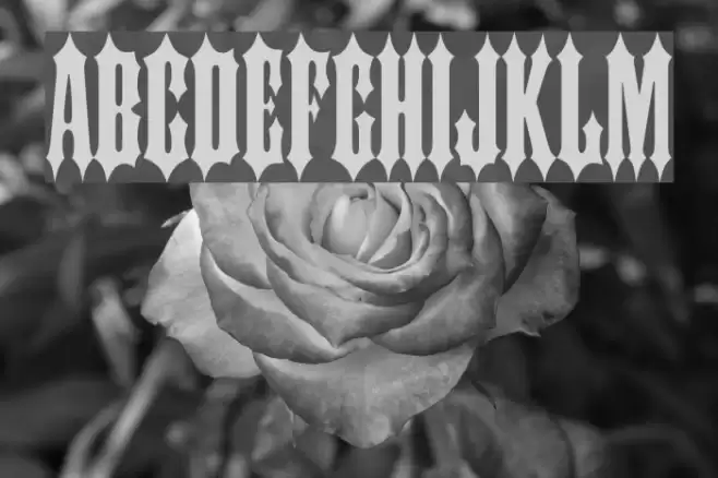 Slayer Plain Medium Font examples