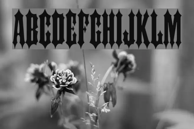 Slayer Plain Medium Font examples