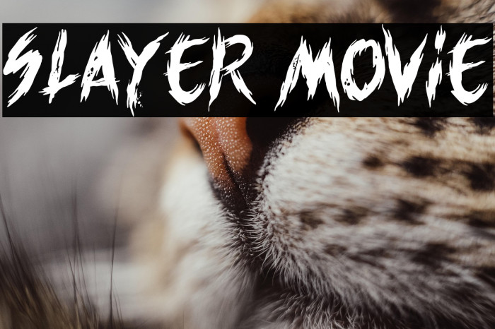 Slayer movie Example 2