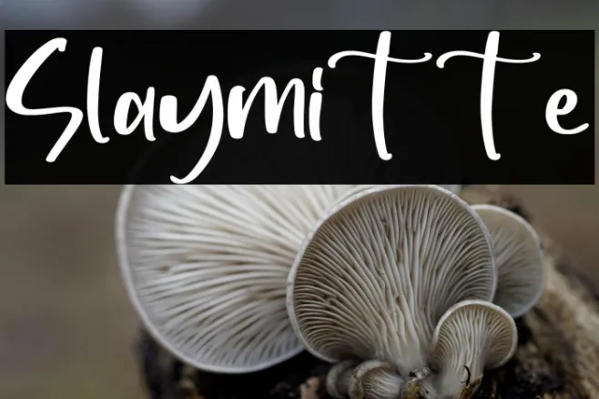 Slaymitte Example 3