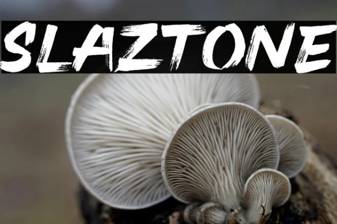 Slaztone Example 1