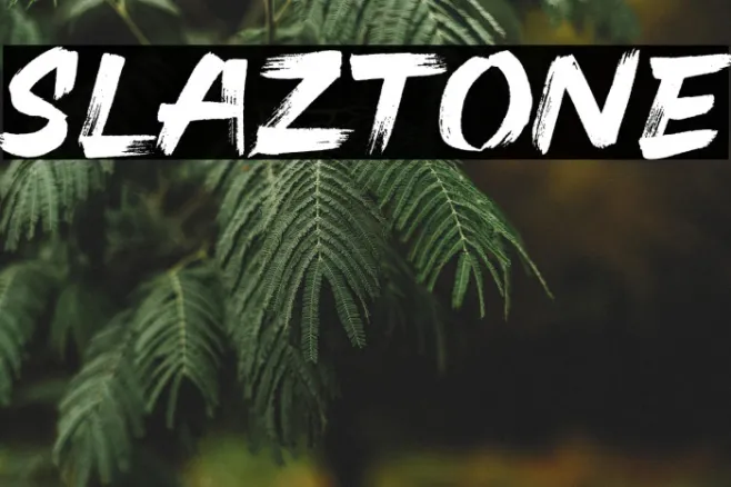 Slaztone Example 2