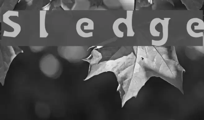 Sledge フォント examples