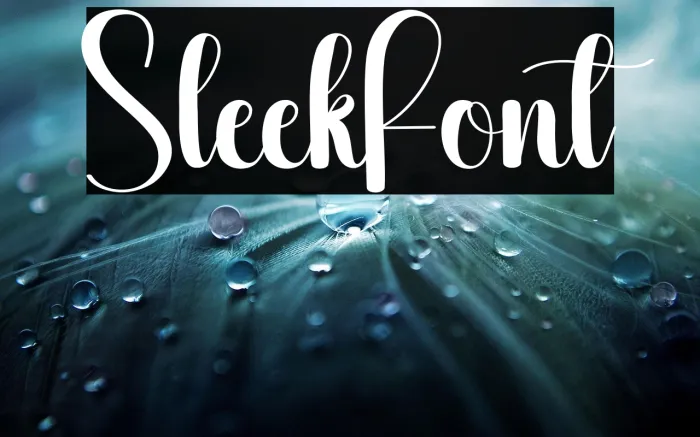Sleek Example 2