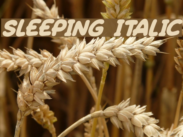 Sleeping Italic Font examples