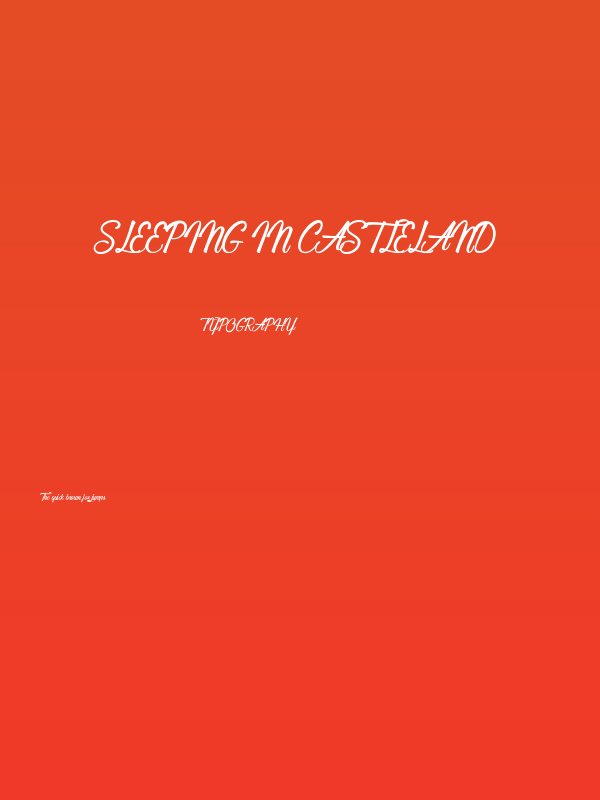 Sleeping in Castleland Poster