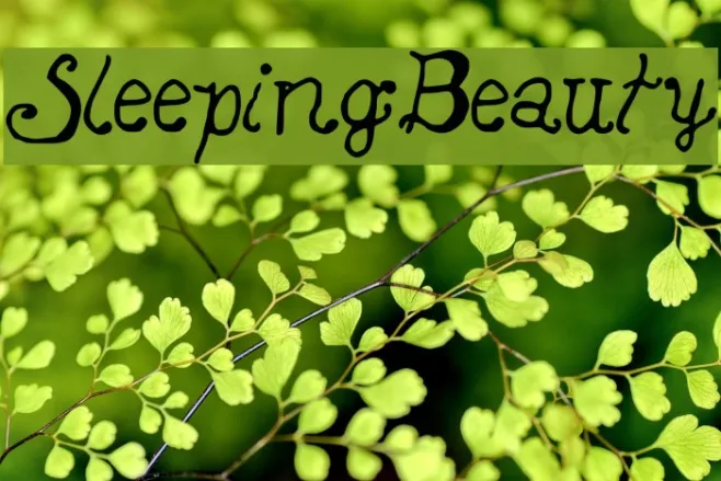 SleepingBeauty Example 2