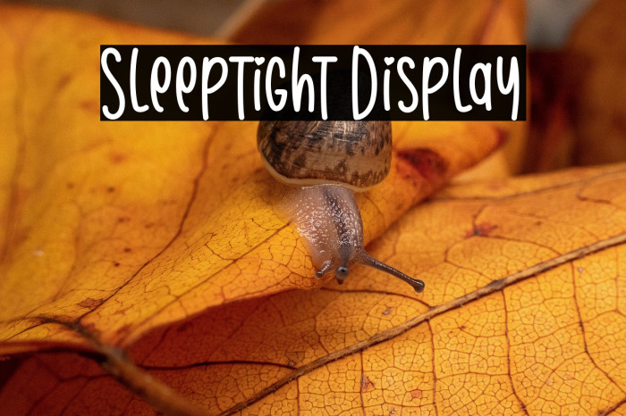Sleeptight Display Example 2