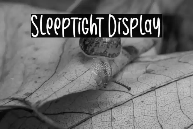 Sleeptight Display خط examples