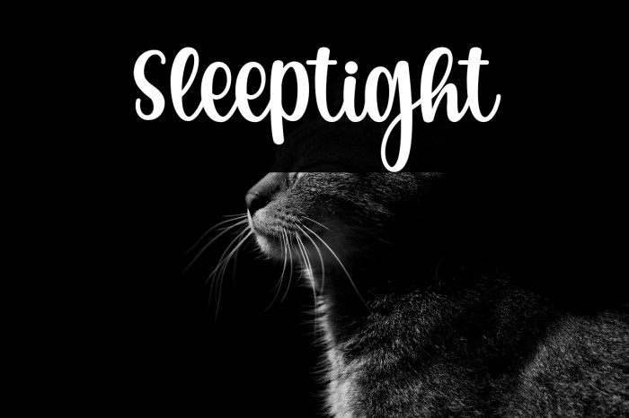 Sleeptight Example 2