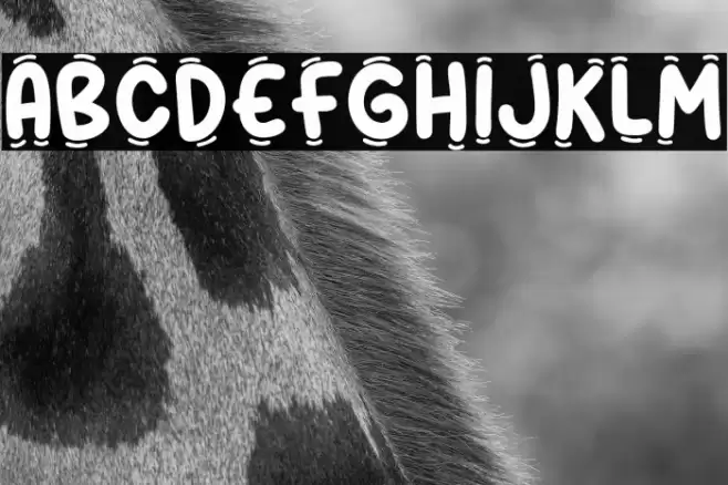 Sleepy Book Font examples