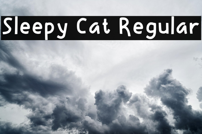 Sleepy Cat Regular Example 1