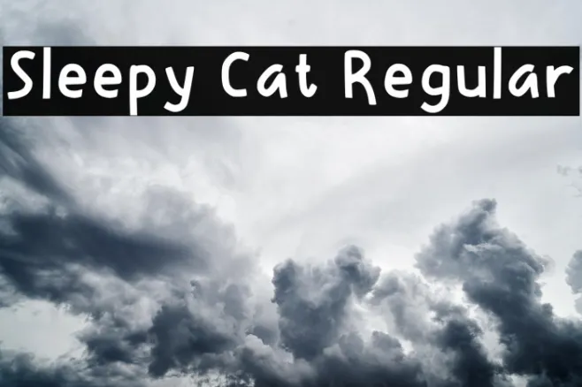Sleepy Cat Regular Example 1