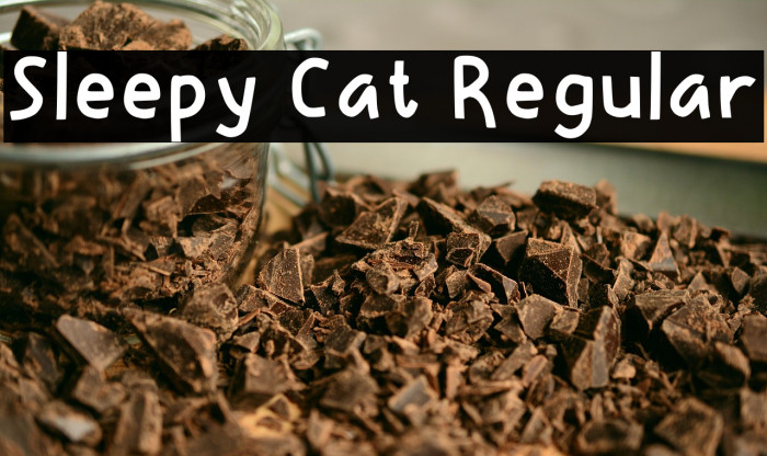 Sleepy Cat Regular Example 2