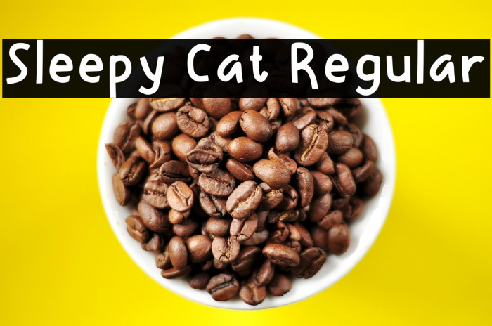 Sleepy Cat Regular Example 3